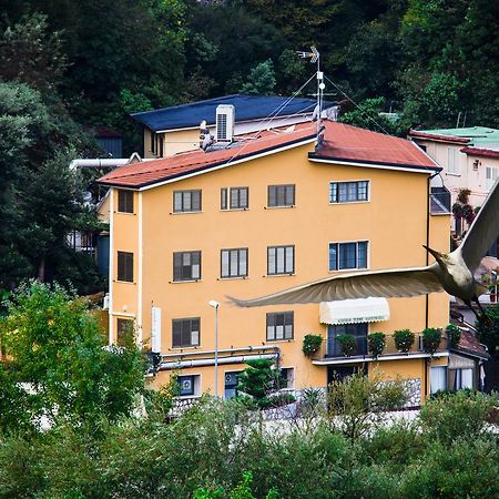 Albergo Terme Santamaria Castelforte Eksteriør bilde